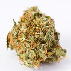 alaskan thunder fuck strain feminized cannabis seeds