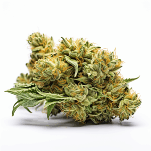 cb dream strain feminized cbd and medical cannabis seeds