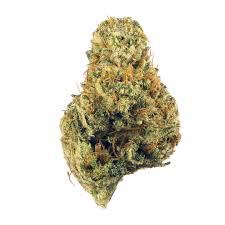 cb dutch treat strain feminized cannabis seeds