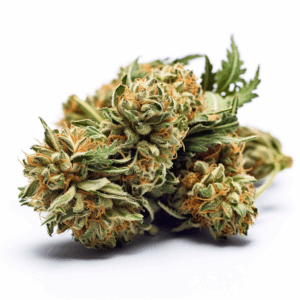 the devil’s crack strain feminized cannabis seeds