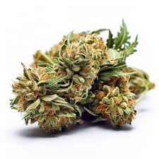 Devil’s Crack Strain Feminized Marijuana Seeds