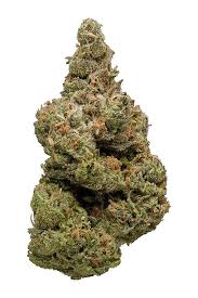 exodus cheese