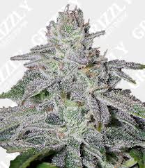 franco’s lemon cheese