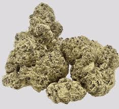 hash burger strain feminized marijuana seeds