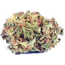 head cracker strain feminized marijuana seeds