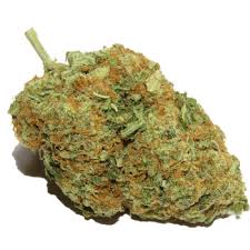 hippie crasher strain feminized marijuana seeds