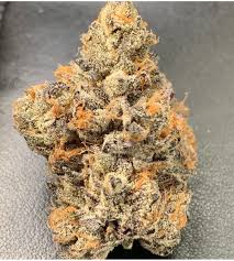 kool whip strain feminized marijuana seeds