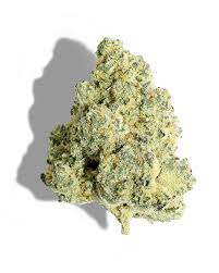 la baker strain feminized marijuana seeds
