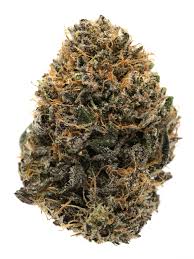 lavender jones strain feminized marijuana seeds