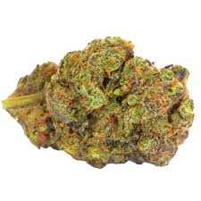 lemon drop strain feminized marijuana seeds