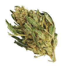 Psycho Crack Strain Feminized Cannabis Seeds