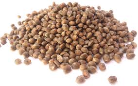Home feminized cannabis seeds