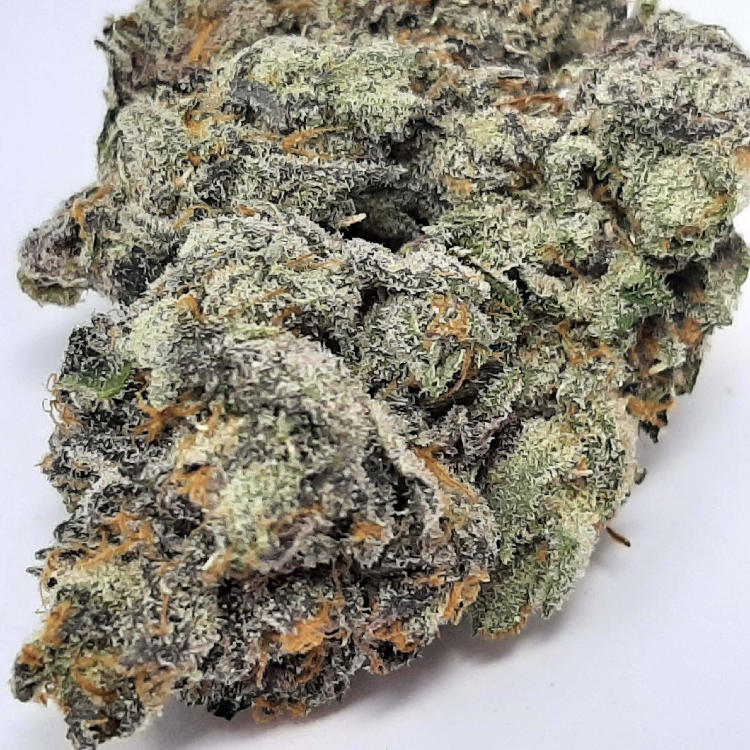 aaaa+ dopamine by kootenayz exoticz aaaa+ dopamine by kootenayz exoticz