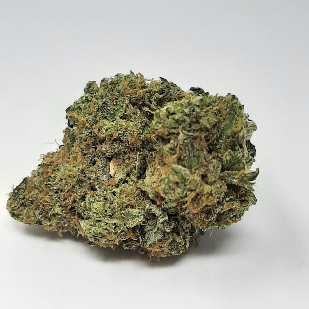 aaa+ northern lights by nitro buds aaa+ northern lights by nitro buds