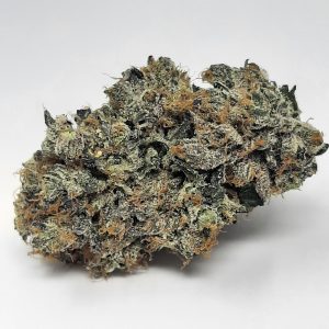 aaaa+ purple rockstar kush by kootenayz exoticz (17 24% thc)