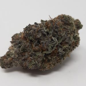 aaaa+ super boof by kootenayz exoticz